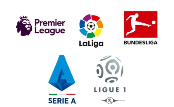 确需要以公 确需要以公